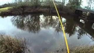 Illex River Perch