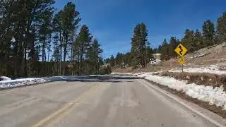Custer State Park - Wildlife Loop 03/13/2023 - Winter