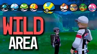 КАК ПОЛУЧИТЬ ВСЕ ТИПЫ ПОКЕБОЛОВ В ДИКОЙ ЗОНЕ В POK&Eacute;MON Sword and Shield