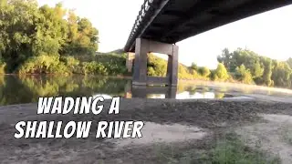 Wading a Remote River to Catch Dinner (Multi-Species Fishing)