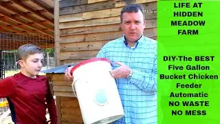 DIY -The BEST Five Gallon Bucket Chicken Feeder For Less Than $5 - Automatic NO MESS NO WASTE