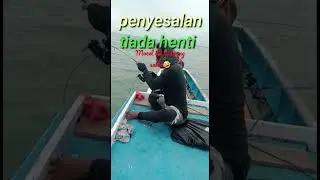 Penyesalan tiada henti#mocel #videoshorts #shorts #meraukepapua #ogyfishing