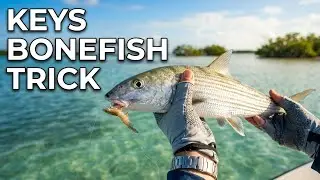 How to Jig for Bonefish using Live Shrimp #fishing