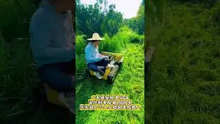 Slope protection brush cutter, unmanned intelligent weeding and clearing machine, forest clearing ro