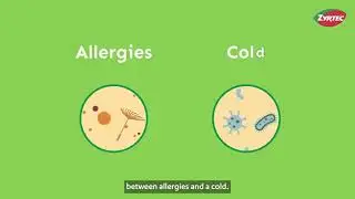 Allergies vs. Cold Symptoms