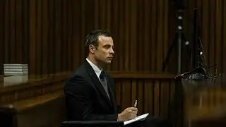 Oscar Pistorius Trial Day 7 summary
