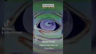 FINALLY FINE ART AS NFT @danielfortin.art