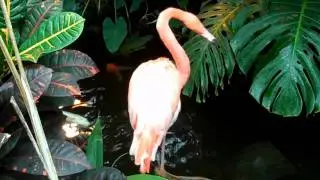 Victoria Butterfly Gardens