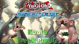Speed Duel: Koala Deck Profile | Midterm Paradox