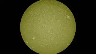 SDO | Data Daily Movies 130820
