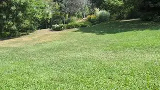 Millikan Park 