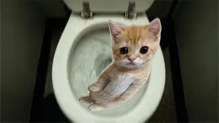Epic music to help you survive the toilet battle | Official Global BGM