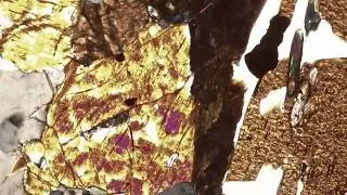 Orthopyroxene under cross polarized light.