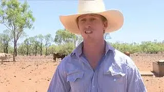 Queensland town of Cloncurry sets a record of 39 days above 40 degrees