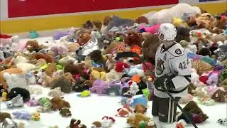 Teddy bears rain down on ice hockey charity event