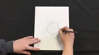 Drawing With Amber - Sea Turtle