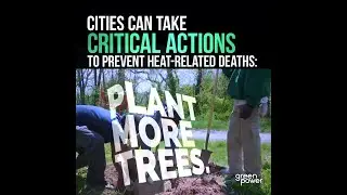 Confronting the Climate Crisis: Urban Heat Wave Mitigation