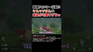 ケムッソさんの「寝姿」が可愛すぎるww【Pok&eacute;mon LEGENDS アルセウス】【寝顔ハンター】