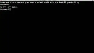 Installing The grunt-cli Module