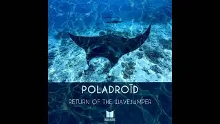Poladro​ï​d – Return Of The Wavejumper