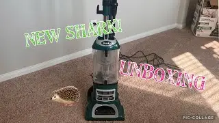 🚨Новый пылесос🚨 Shark Naviagtor Lift away XL 👗 Распаковка и первое впечатление 🧍‍♀️