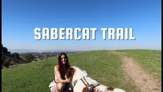 Where Mammoths & Saber-Toothed Cats Once Roamed | Ice Age Fossil Site in California 🐆