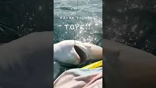 Some crazy kayak fishing this year #kayakfishing #topefishing #ireland #fishing ng