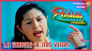 PASION JUVENIL - la sangre de mis venas [OFICIAL 20201] MAGIC STUDIOS Bolivia ᴴᴰ