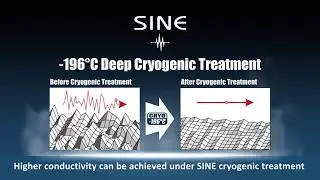 SINE Cryogenics Treatment