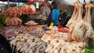 Best Cambodian Street Market In The Morning - Compilation Street Food Market In Phnom Penh Cambodia