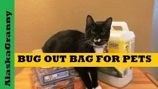 Bug Out Bag for Pets- Prepping for Pets Dogs Cats
