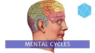 Mental Cycles - Learning through theory vs. practice