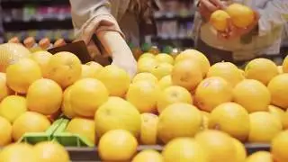 No Animal Food and Nutrition and Diet with Vegetable Recipes #1