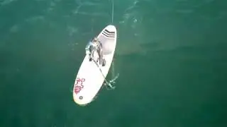 Northern Ireland Portrush - Troggs Surf Shop - Stand up Paddle Board Hire