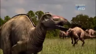 When Dinosaurs Roamed America - Edmontosaurus annectens