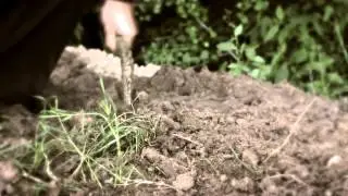 Yebediah The Converger Documentary