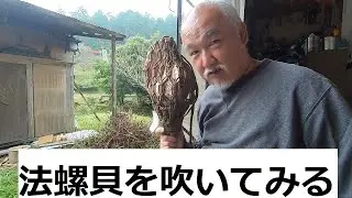 法螺貝吹いてみる20241101