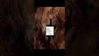 Un parfum bois&eacute; id&eacute;al pour la saison d'automne 🍁