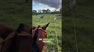 &ldquo;The Unexpected Cowboy of La&ccedil;o!&rdquo;