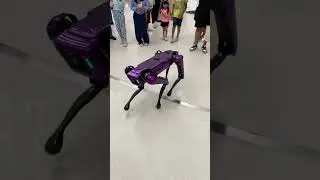Remote control Dog 🐕 (robot) #dubai 🇦🇪 #habibicometodubai #viralpost #touristplace #uae #robot