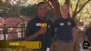 #AskZooATL - Ep 1.17: 