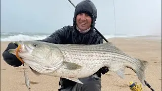 On the Sand Montauk Surf Bite 2025 -  FishAholic Fishing is live!