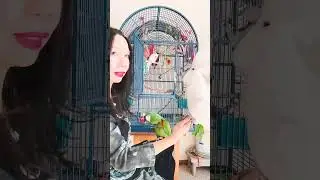 Веселые танцы