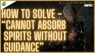 Cannot Absorb Spirits Without Guidance - Black Myth Wukong