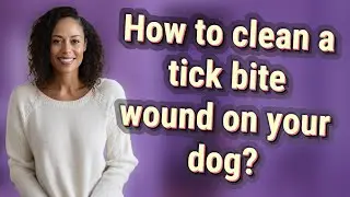 How to clean a tick bite wound on your dog?