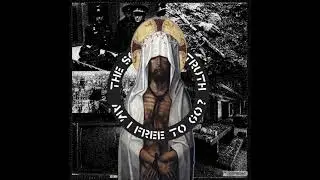 The Soft Pink Truth - Fuck Nazi Sympathy (Aus-Rotten cover)