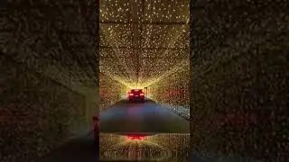 Christmas Drive~Thru Experience || #shorts