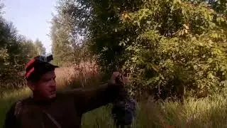 1109 вальдшнеп и др.