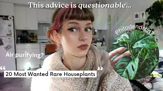 reacting to popular online houseplant articles 🌿 best easy plants, rare plants, + hardest to grow