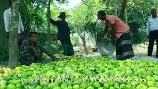 Participatory Small Scale Water Resources Sector Project Documentary for LGED, Govt, Bangladesh